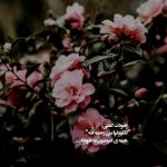 دانلود ریمیکس میخوانم نغمه نو نغمه نو از دلکش شایع بهرام رضا پیشرو